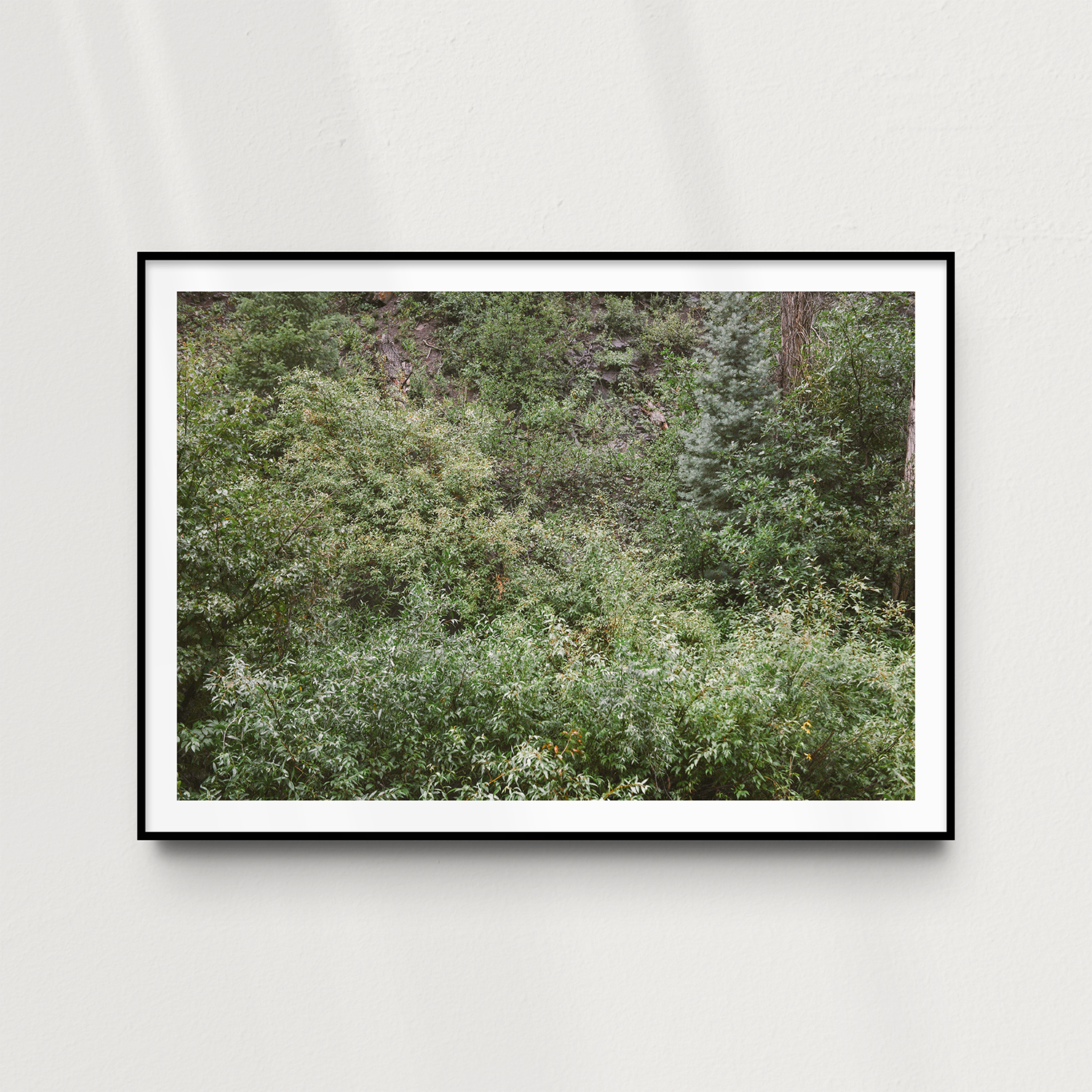 After it Rains Print